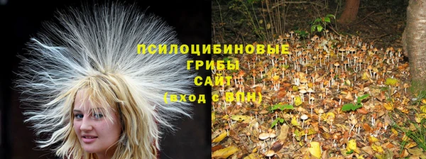 крисы Алексин