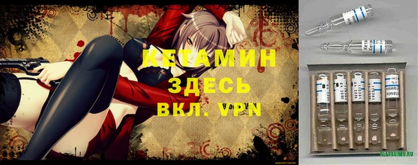 крисы Алексин