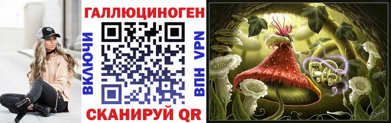 ОМГ ОМГ   Жигулёвск  мориарти состав  что такое   Галлюциногенные грибы ЛСД 